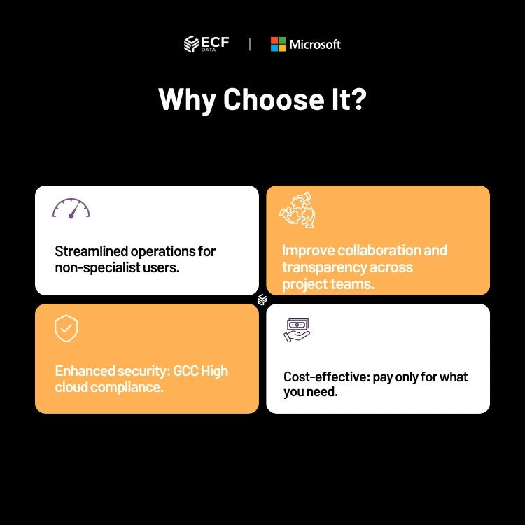 Secure Dynamics 365 access for government contractors