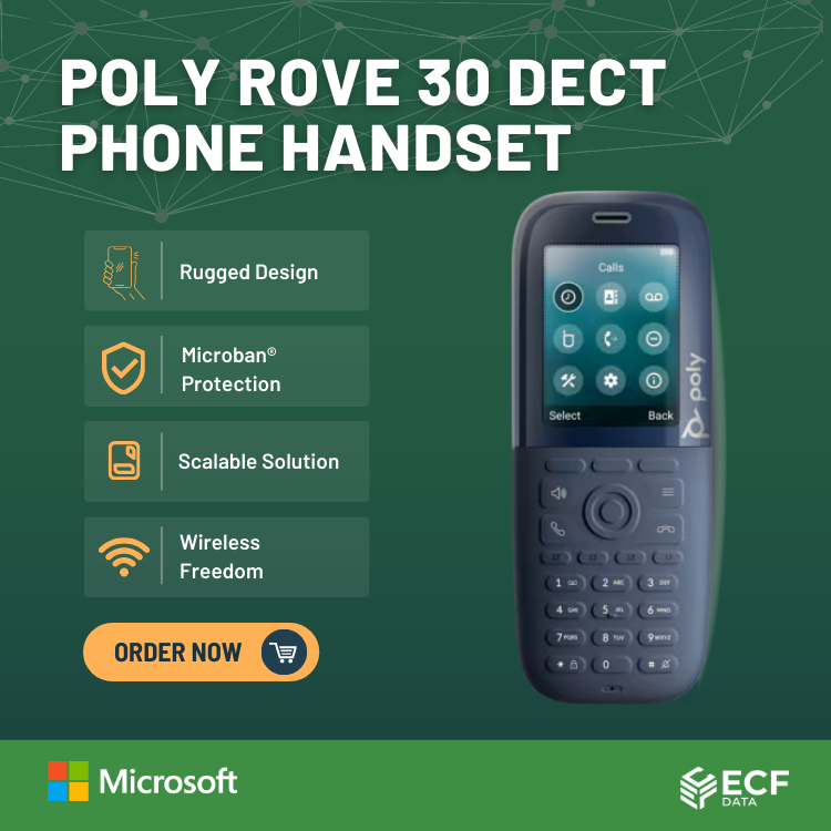 Rove 30 Handset